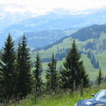 1100595490_8b2c16883419858adc4944f718b4f8c3.jpg