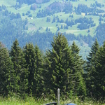 1100595591_b8ffeaf4d529af51c46663e443443a76.jpg