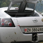 1100638885_89236cd9f045aeac72ecb9a53d6a3a5c.jpg