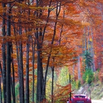 20051028_091406_23.jpg