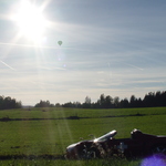 20061103_153728_9.jpg