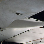 106_05.jpg