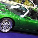 gruener_eds_turbo_003.jpg