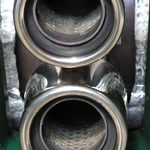 P2250002.JPG