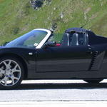 Black_Beauty_001.jpg