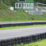 120-2097_IMG.JPG