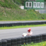 120-2098_IMG.JPG