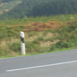IMG_6651.jpg