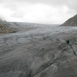 IMG_3663.jpg