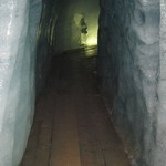 IMG_3672.jpg