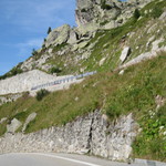 IMG_6071.jpg
