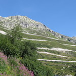 IMG_6075.jpg