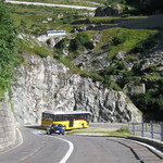 IMG_6076.jpg