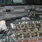 P1250055.jpg