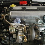 P1280001.jpg