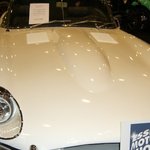 CIMG0698.JPG