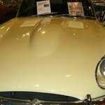 CIMG0705.JPG